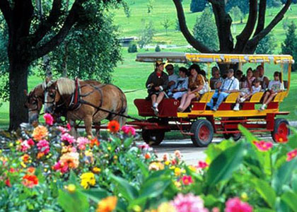 carriage tours in Mackinac